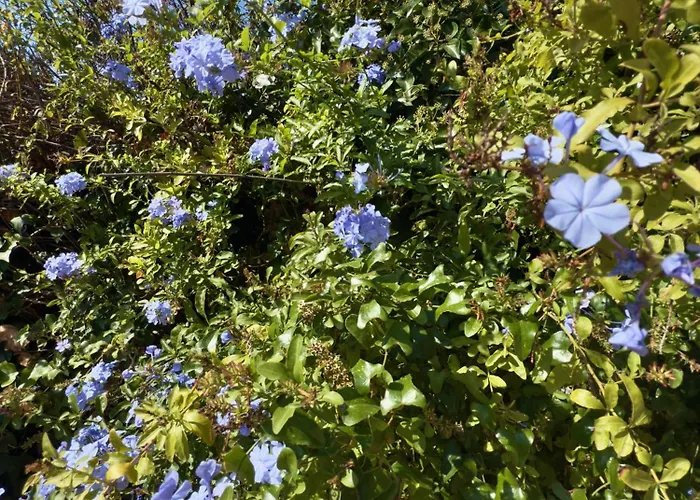 Beautiful Spacious With Mountain View And Private Pool Βίλα